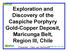 Exploration and Discovery of the Caspiche Porphyry Gold-Copper Deposit, Maricunga Belt, Region III, Chile