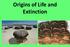Origins of Life and Extinction