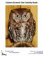 Eastern Screech-Owl Activity Book