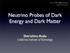 Neutrino Probes of Dark Energy and Dark Matter