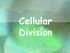 Cellular Division. copyright cmassengale