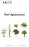 Plant Appearance. Name: Class: