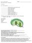 A.P. Biology Photosynthesis Sheet 1 - Chloroplasts