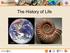 The History of Life NASA.   Pictures/Ammonites/Ammonite- 5/Ammonite jpg