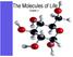 The Molecules of Life Chapter 2