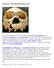 Homo heidelbergensis MORPHOLOGY AND INTERPRETATIONS