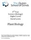 3 rd Year Science (Biology) Higher Level David Lewis. Plant Biology