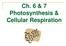Ch. 6 & 7 Photosynthesis & Cellular Respiration