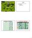 Outline. Leaf Development. Leaf Structure - Morphology. Leaf Structure - Morphology