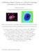 Calibrating Galaxy Clusters as a Tool for Cosmology via Studies of the Intracluster Medium