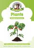 Plants Biological Sciences Written for the Australian Curriculum: Science