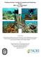 Southeast Florida Coral Reef Evaluation and Monitoring Project 2005 Year 3 Final Report March 2006
