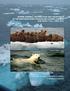 MARINE MAMMAL DISTRIBUTION AND ABUNDANCE IN THE NORTHEASTERN CHUKCHI SEA DURING SUMMER AND EARLY FALL,