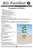 Bio Factsheet. Transport in Plants.   Number 342