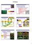 AP Biology. Evolution of Land Plants. Kingdom: Plants. Plant Diversity. Animal vs. Plant life cycle. Bryophytes: mosses & liverworts