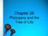 Chapter 26 Phylogeny and the Tree of Life