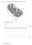 1 (a) Fig. 1.1 is a diagram representing a three-dimensional view of a chloroplast. space B. Fig (i) Name parts A to C in Fig A... B...