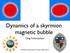 Dynamics of a skyrmion magnetic bubble. Oleg Tchernyshyov