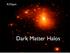 A.Klypin. Dark Matter Halos