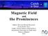 the Prominences Magnetic Field and