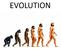 Evolution. We are going to find out about;