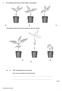1. The drawings below show three healthy young plants. A B C. The drawings below show the three plants after two weeks.