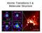 Atomic Transitions II & Molecular Structure