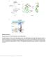 Nature Structural & Molecular Biology: doi: /nsmb Supplementary Figure 1