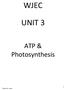 WJEC UNIT 3. ATP & Photosynthesis. Tyrone. R.L. John