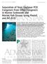 Separation of Toxic Coplanar PCB Congeners from Other Congeners in Marine Sediments and Marine Fish Tissues Using Florisil and GC ECD