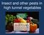 Insect and other pests in high tunnel vegetables. Gerald Brust IPM Vegetable Specialist