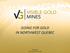 GOING FOR GOLD IN NORTHWEST QUEBEC Q2, 2013 TSX.V: VGD / FSE: 3V4