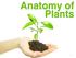 Objectives. To identify plant structures and functions. To describe the structure of plant cells. To explain the process of reproduction in plants.