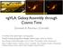 ngvla: Galaxy Assembly through Cosmic Time