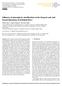 Influence of atmospheric stratification on the integral scale and fractal dimension of turbulent flows