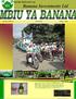 Banana Investments Ltd