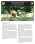 Background. North Cascades Ecosystem Grizzly Bear Restoration Plan/ Environmental Impact Statement. Steve Rochetta
