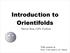 Introduction to Orientifolds.