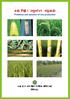 avb Pv li mgm v I mgvavb Problems and solution of rice production