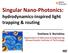 Singular Nano-Photonics: hydrodynamics-inspired light trapping & routing Svetlana V. Boriskina
