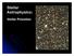 Stellar Astrophysics: Stellar Pulsation