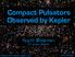 Compact Pulsators Observed by Kepler