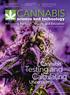 Testing and Calculating. Cannabis. Uncertainty. Analytical Chemistry and Cannabis
