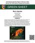 Informational Summary Report of Serious or Near Serious CAL FIRE Injuries, Illnesses and Accidents GREEN SHEET. Burn Injuries