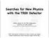 Searches for New Physics with the TREK Detector