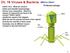 Ch. 19 Viruses & Bacteria: What Is a Virus?