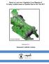 Report on Land Use / Vegetation Cover Mapping of Ib Valley Coalfield based on Satellite Data for the Year 2017 IB VALLEY COALFIELD