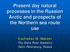 Present day natural processes in the Russian Arctic and prospects of the Northern sea route use