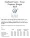 Cochran County, Texas Proposed Budget 2017