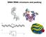 DNA/RNA structure and packing